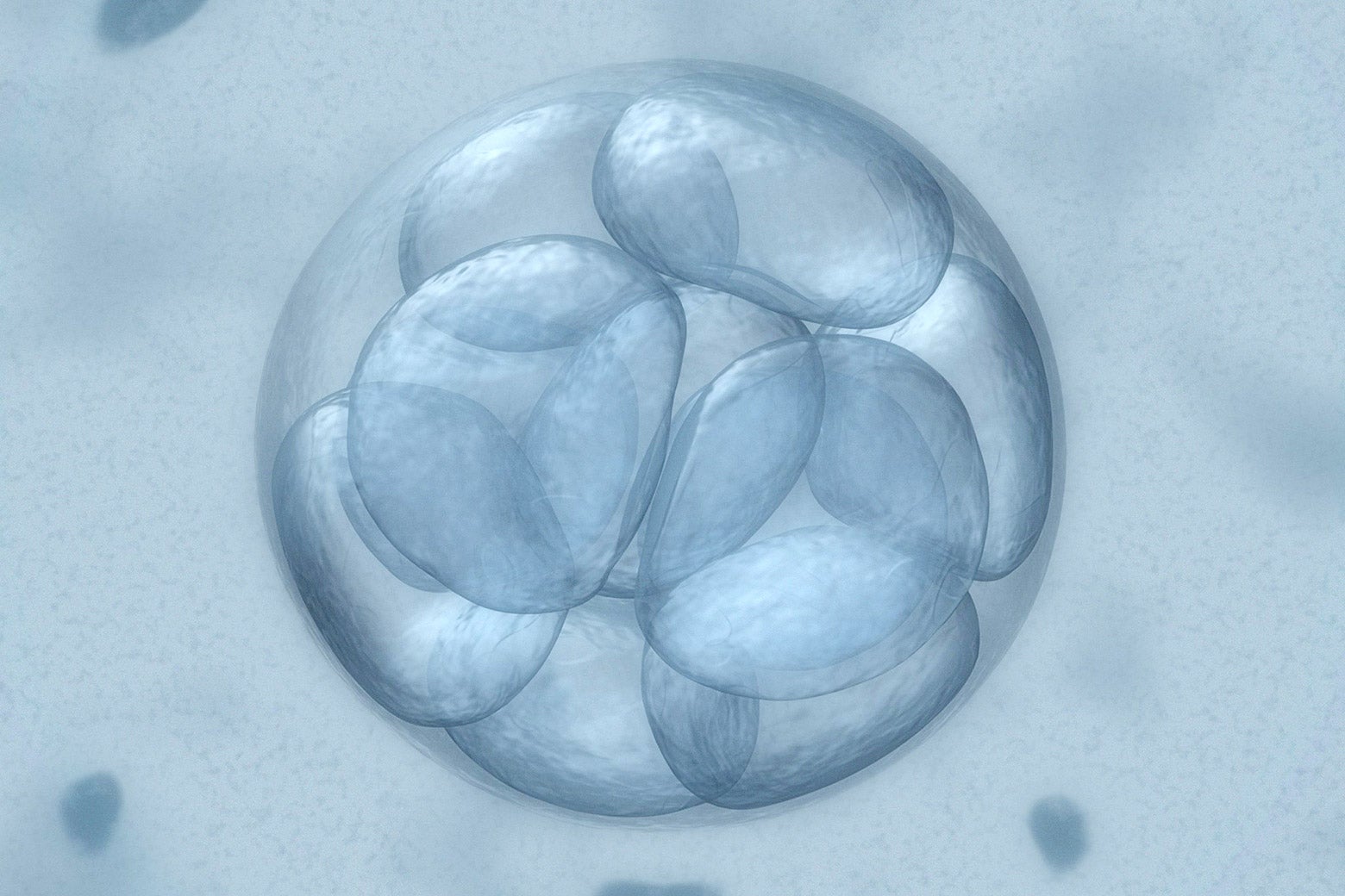 Arizona’s new frozen embryo law is terrible news for couples thinking