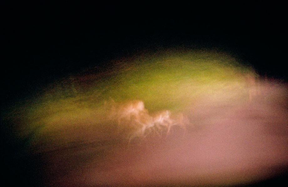 Deer in Headlights, Mount Tremper, N.Y., 2006
