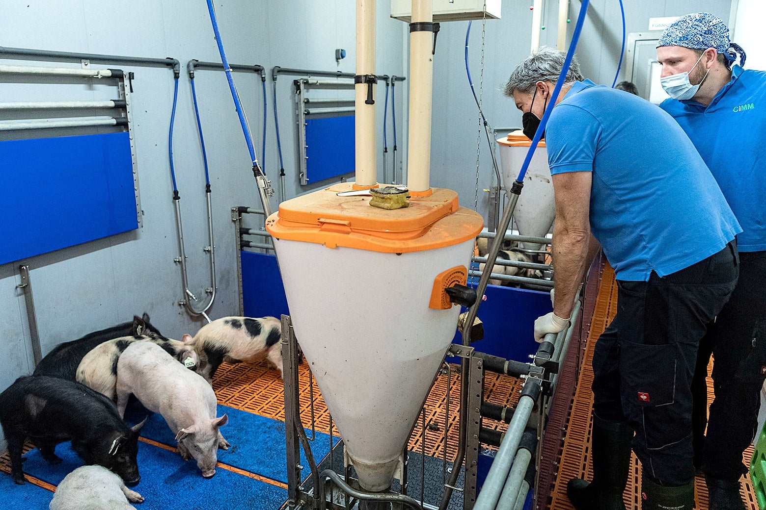 Xenotransplantation A brief history of putting animal organs into humans.