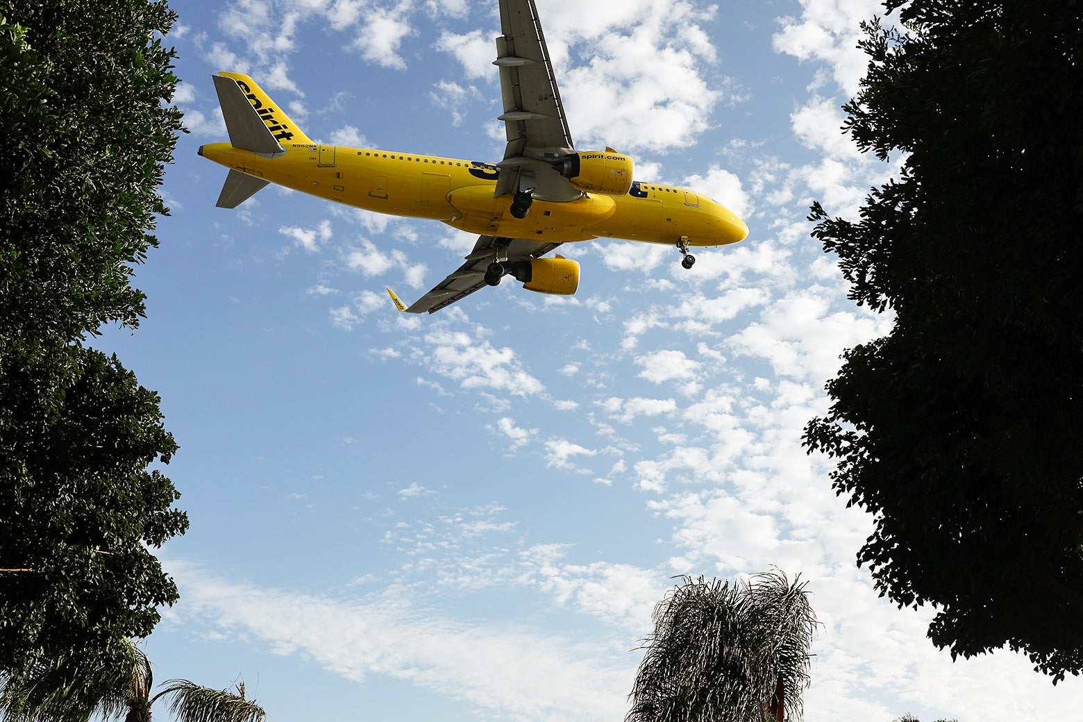 A yellow Spirit plane flying overhead.