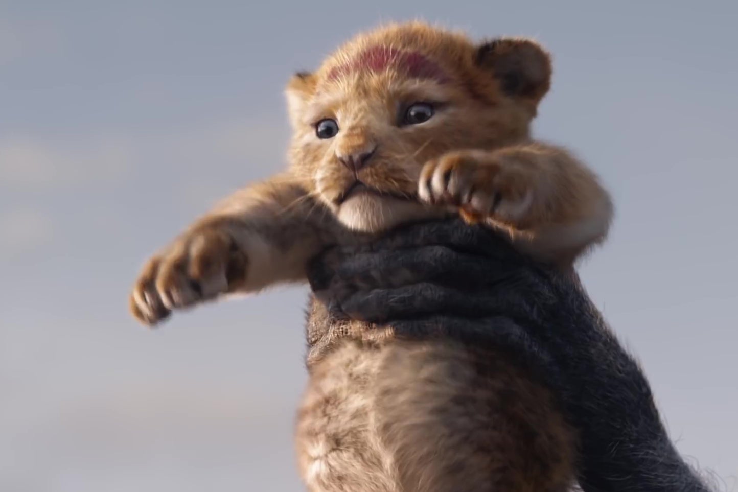 A photorealistic animated lion cub.