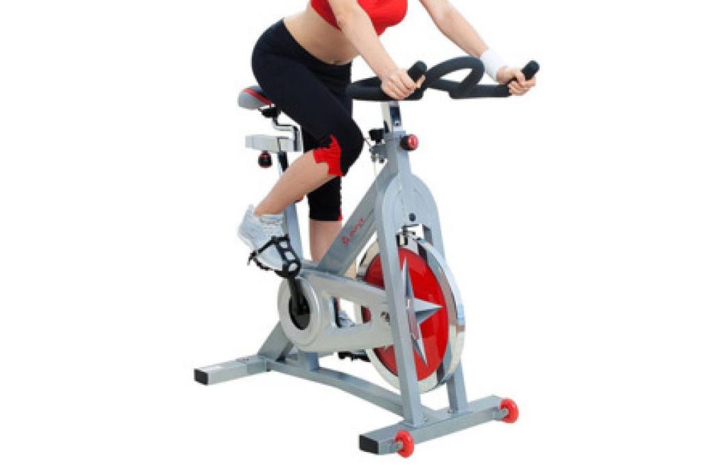 Fitness Pro II Stationary Pro Fit Bike, Sunny Health & Fitness