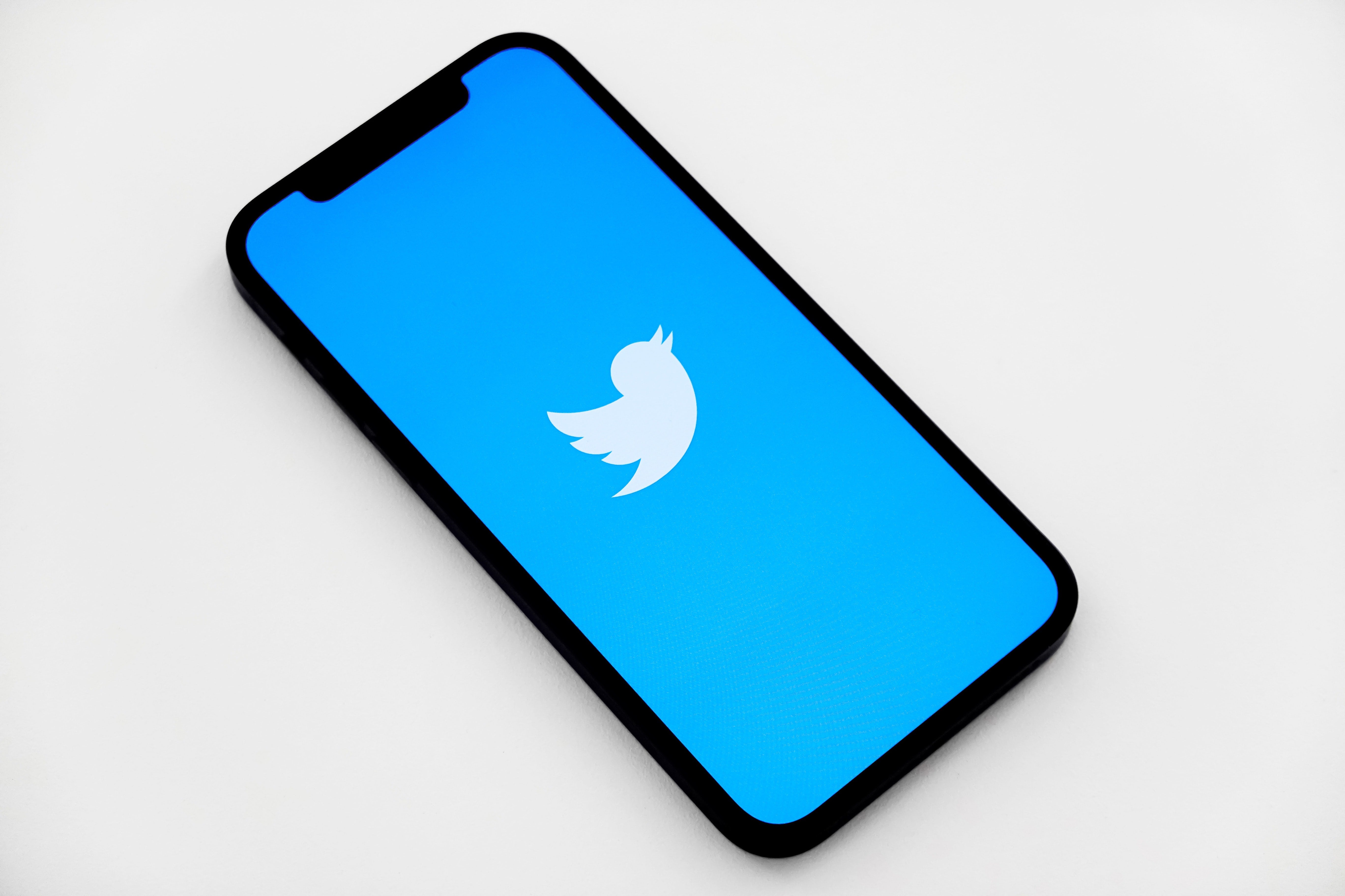 a phone with a blue screen and the twitter bird icon 