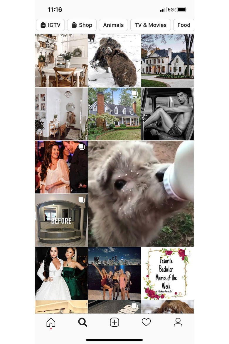 Screenshot of an Instagram Explore feed, featuring photos of animals and nice houses.