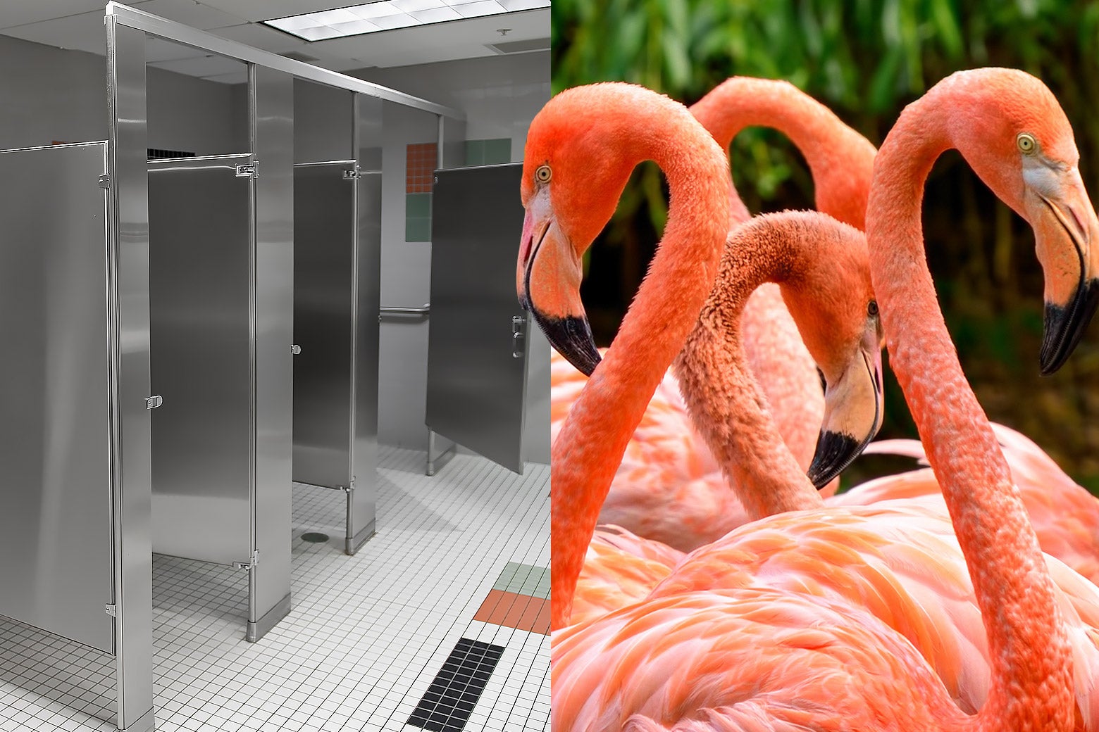 Please Don&rsquo;t Make the Apocalypse Cute