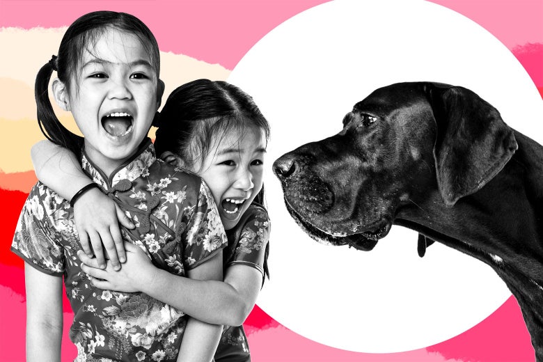 Dogs and kids and a nervous dad: parenting advice from Care and Feeding.