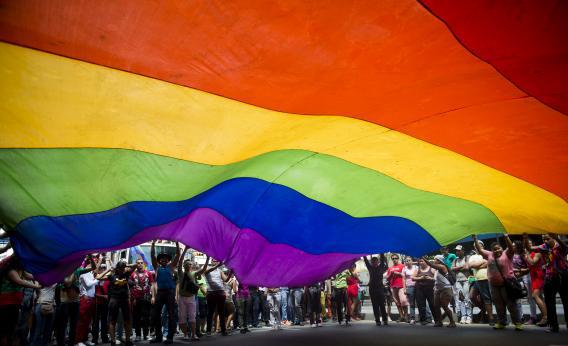 People wave a huge rainbow flag during the 35th Gay Pride Parade in downtown Caracas on June 30, 2013.