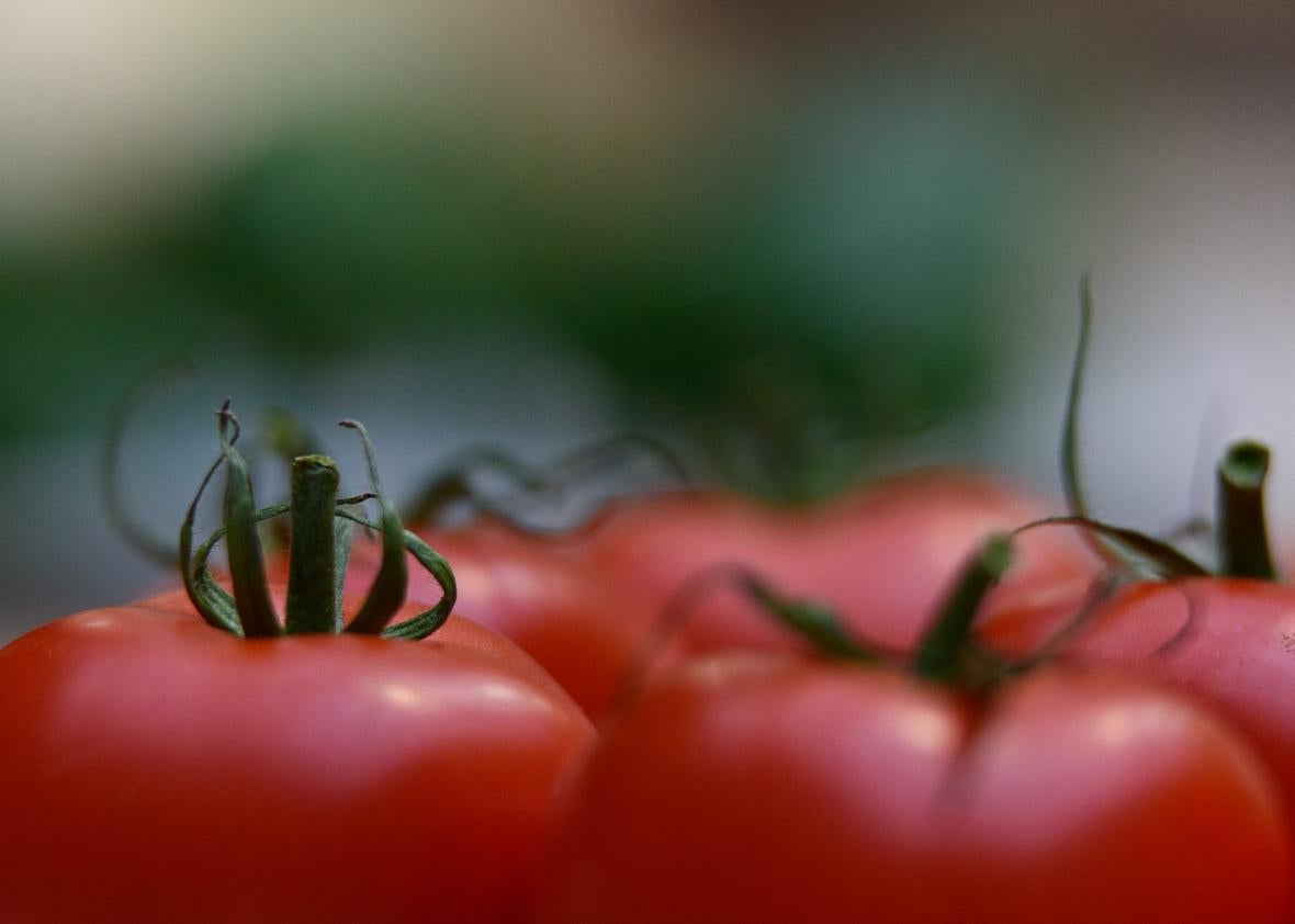 It is called sauce or gravy? A Slate investigation into the linguistics