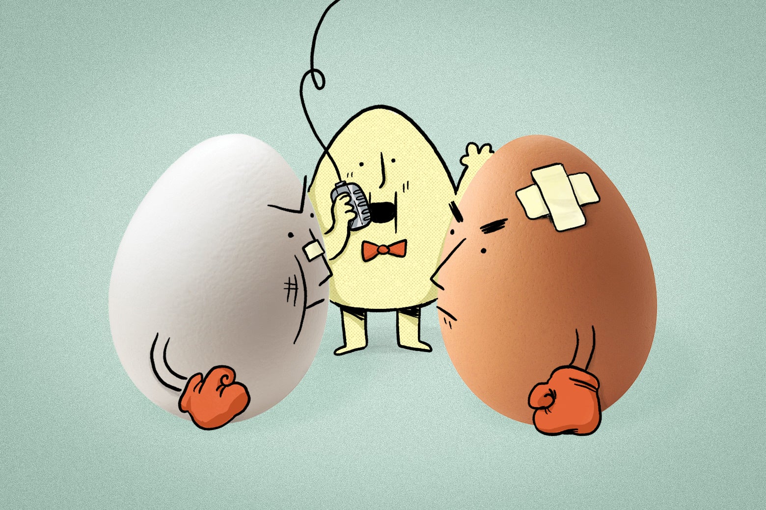 Are Brown Eggs Healthier Than White Eggs?