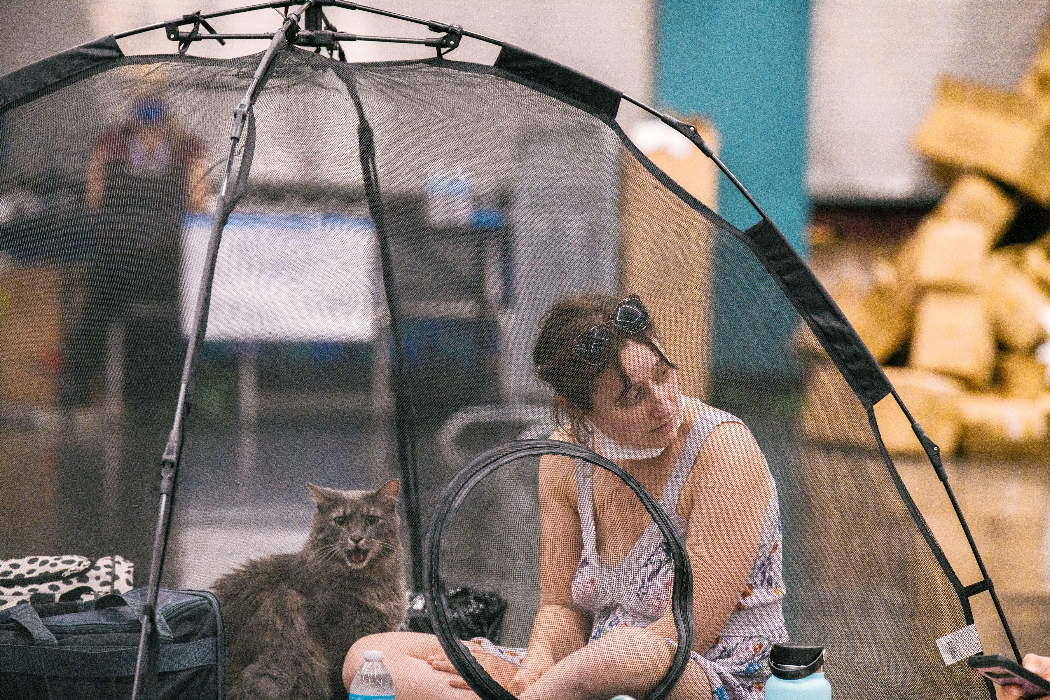 Woman with a cat inside a tent