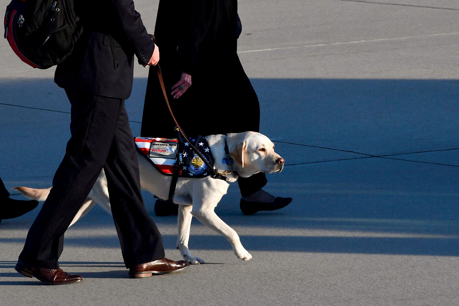 Sully, the Lab retriever, walks on the tarmac at Joint Base Andrews on Monday after former President George H.W. Bush's casket is carried to a hearse.