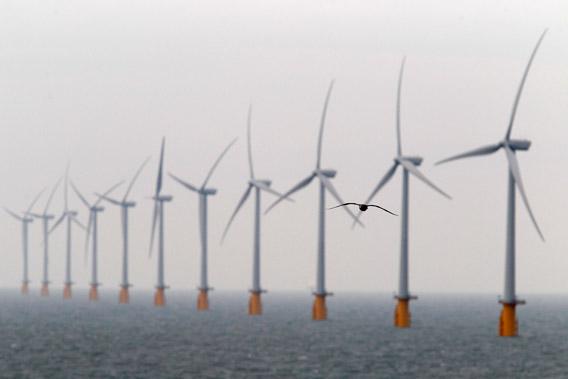 A seagull flies past wind turbines at Thanet Offshore Wind Farm off the Kent coast in southern England.