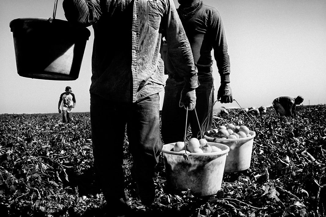 This is expected to be California’s hottest year on record. Towns in the north are running out of water; the south has been asked to conserve. In the Central Valley, farmwork has dried up with the water supply.