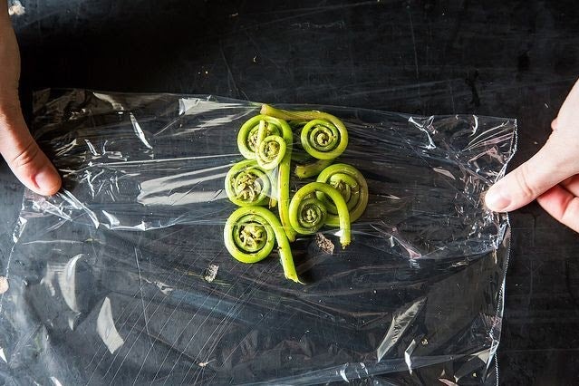 Hands place plastic wrap over fiddlehead ferns.