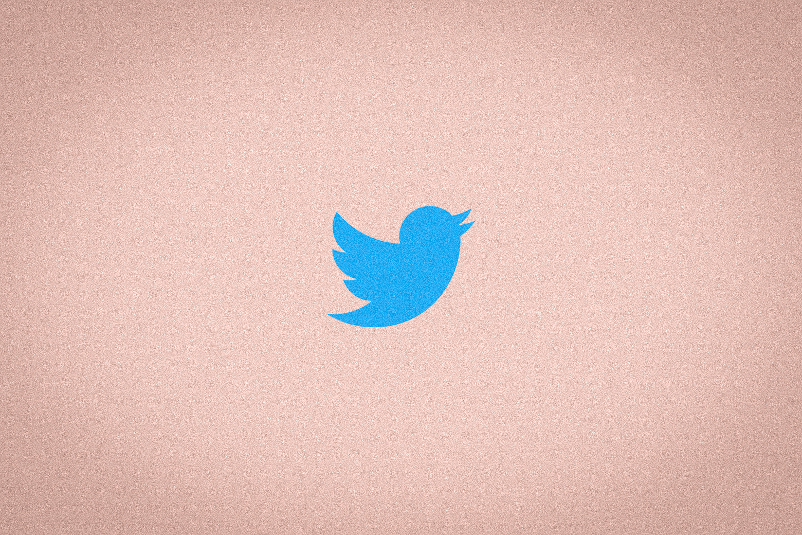 The Twitter logo slowly disappears. 