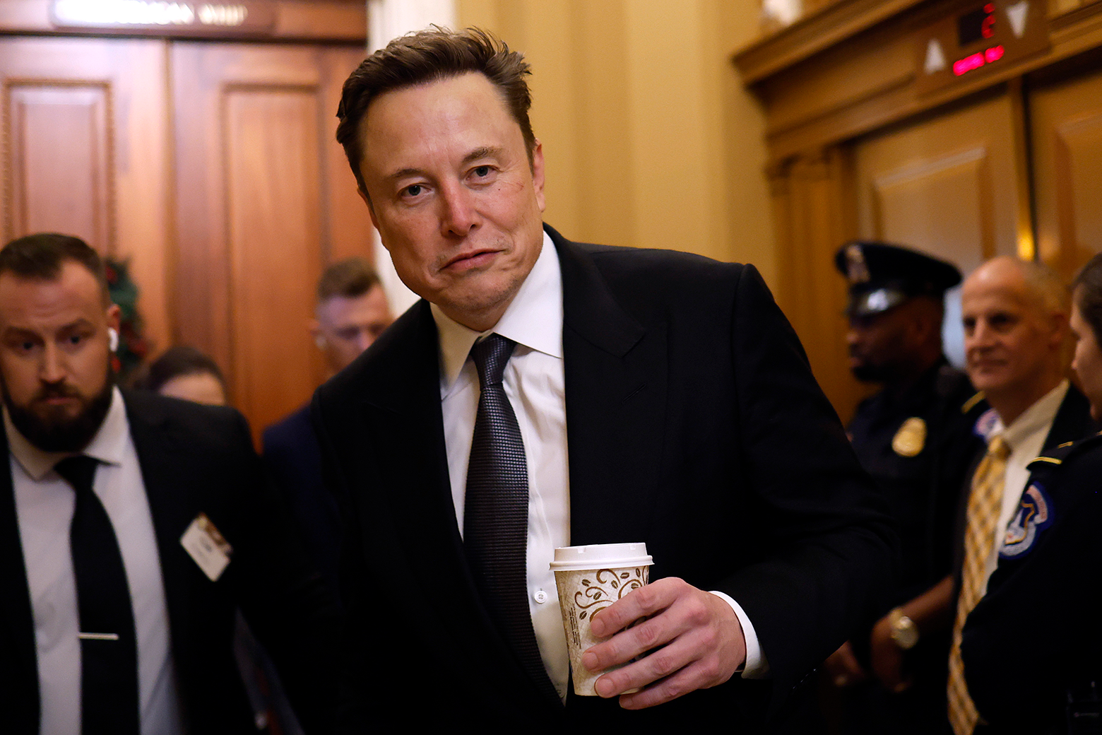 Government Efficiency Could Have Stopped Elon Musk