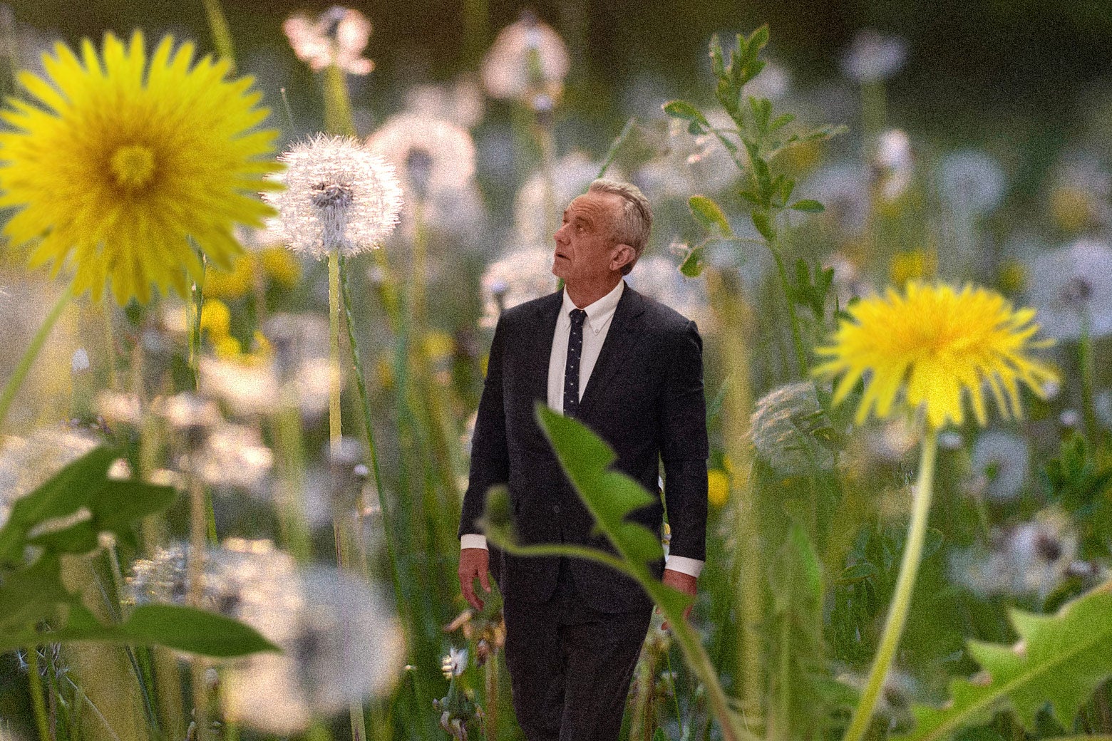 slate.com - Gideon Meyerowitz-Katz - Our Food System Depends On It. RFK Jr.'s Followers Hate It-and It Has Been Linked to Cancer.