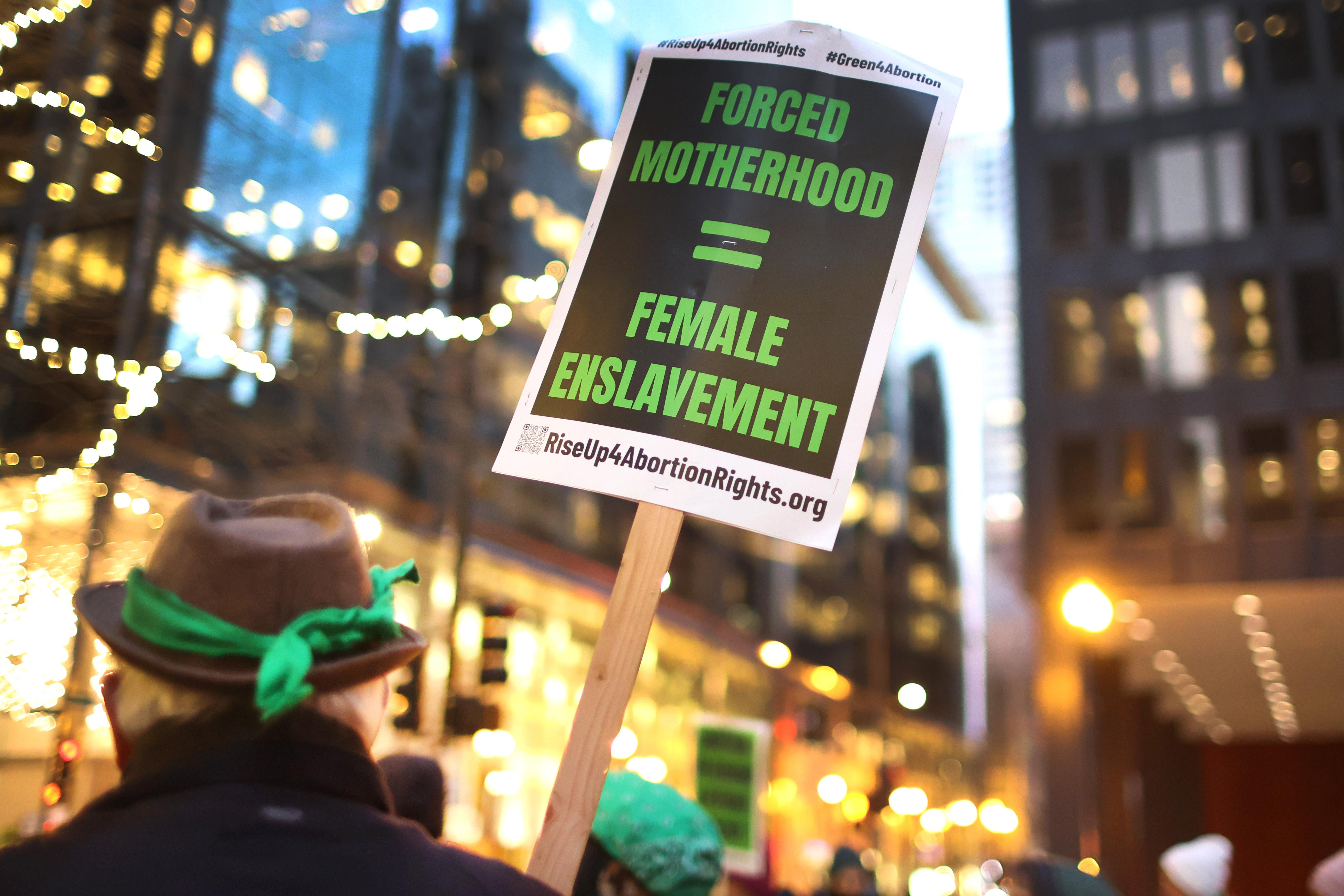 The sign says "Forced Motherhood = Female Enslavement."