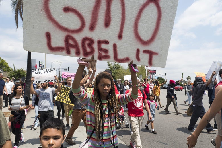 A Black person with long dredlocks, in a crowd of protestors, holds a sign above their head that says in red spray-painted letters, "GMO LABEL IT." 