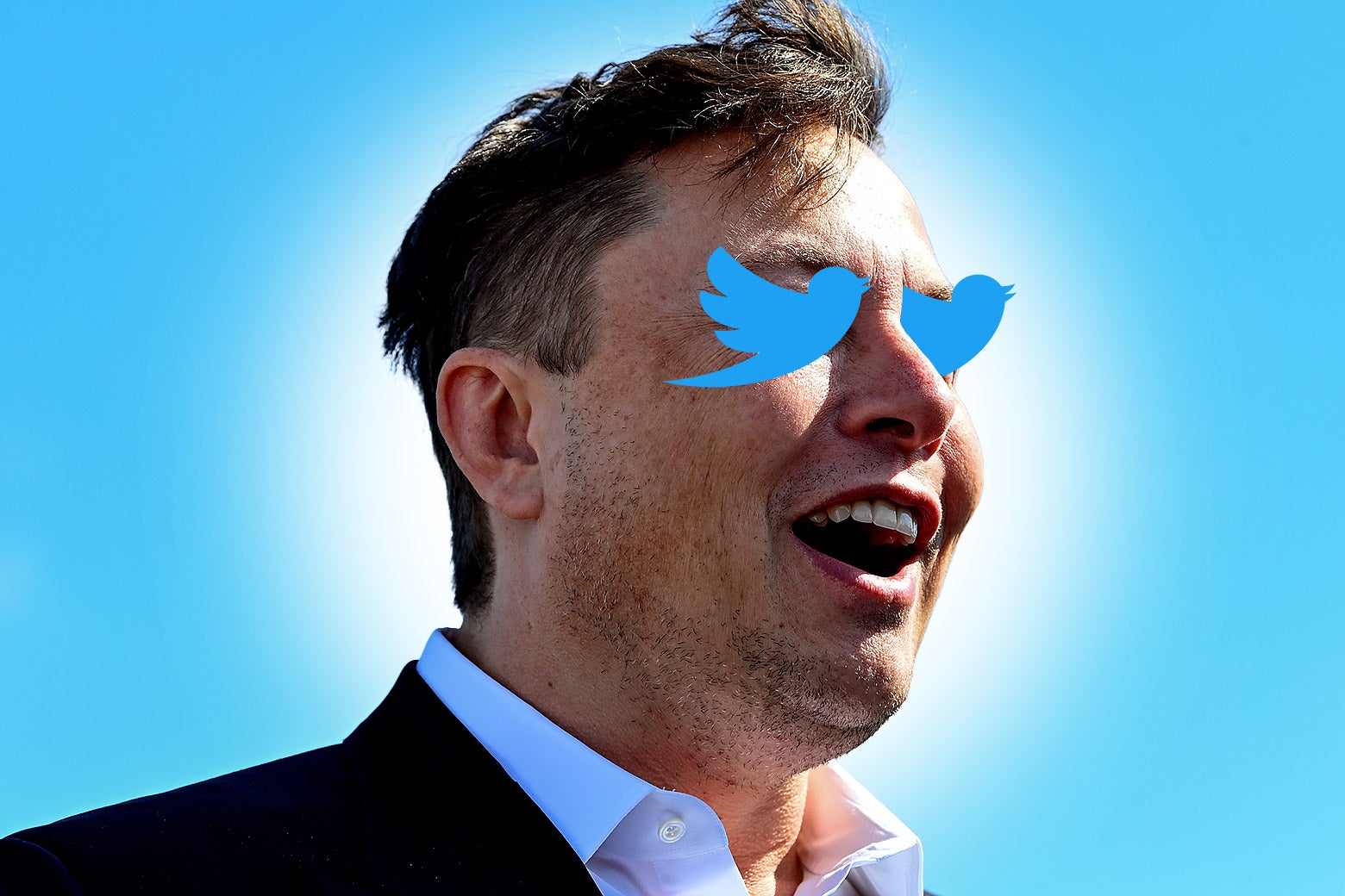 Elon Musk with Twitter bird eyes.