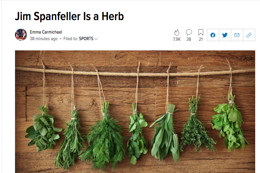 The headline and photo of the now-deleted post, Jim Spanfeller Is a Herb
