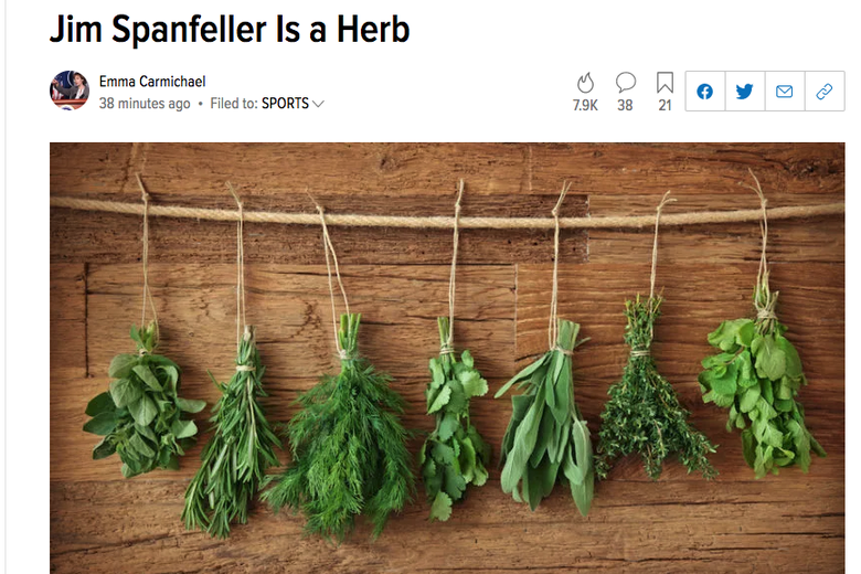 The headline and photo of the now-deleted post, Jim Spanfeller Is a Herb