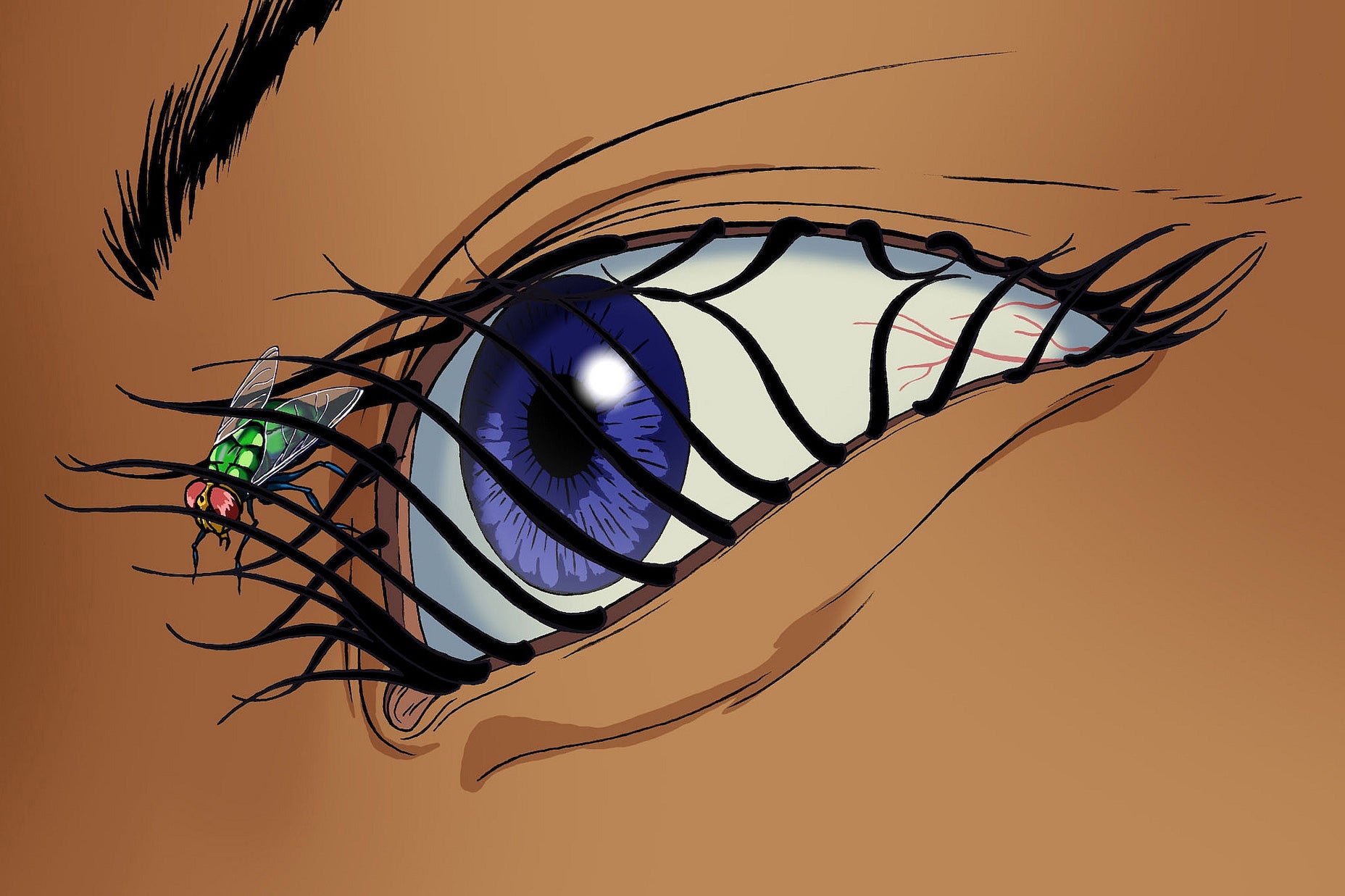 The logo for the Æon Flux series: an eye in extreme close-up, with a housefly struggling to extricate itself from the lashes.