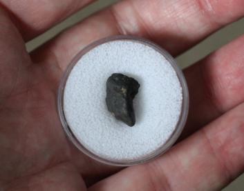 A small chunk of Chelyabinsk meteorite, given to me by a friend.