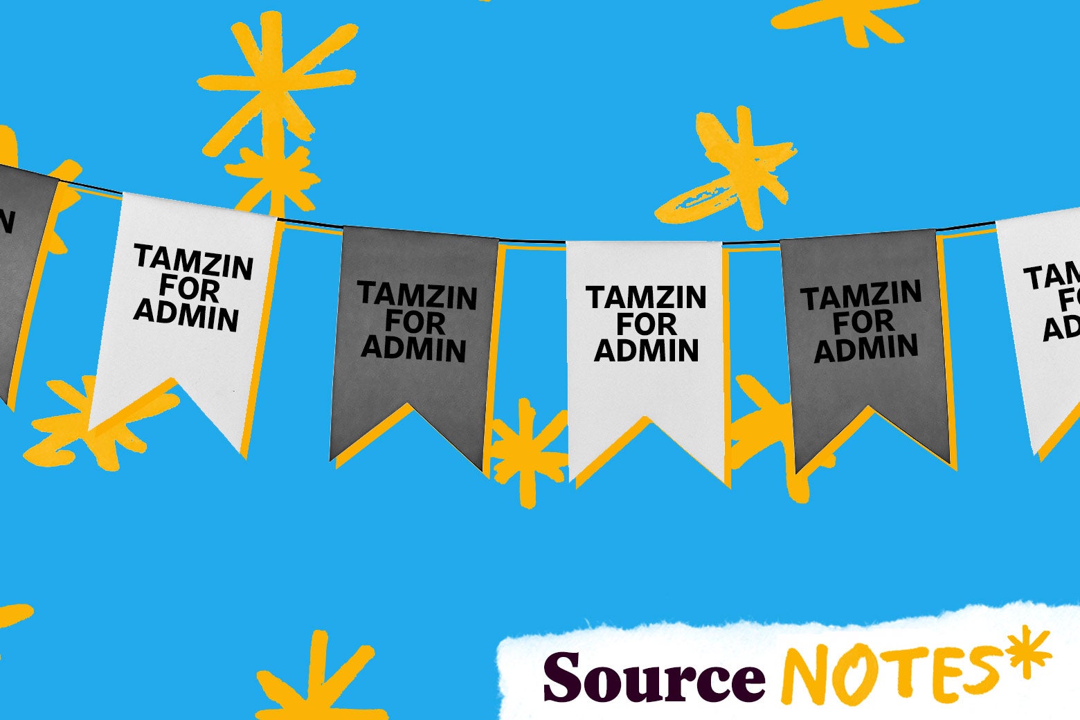 A string of banners that read "Tamzin for Admin"