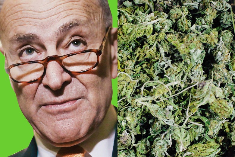 Chuck Schumer and a bunch of marijuana.