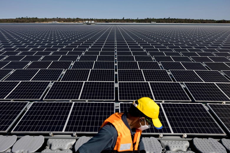 A construction worker is seen in front of a field of solar panels.