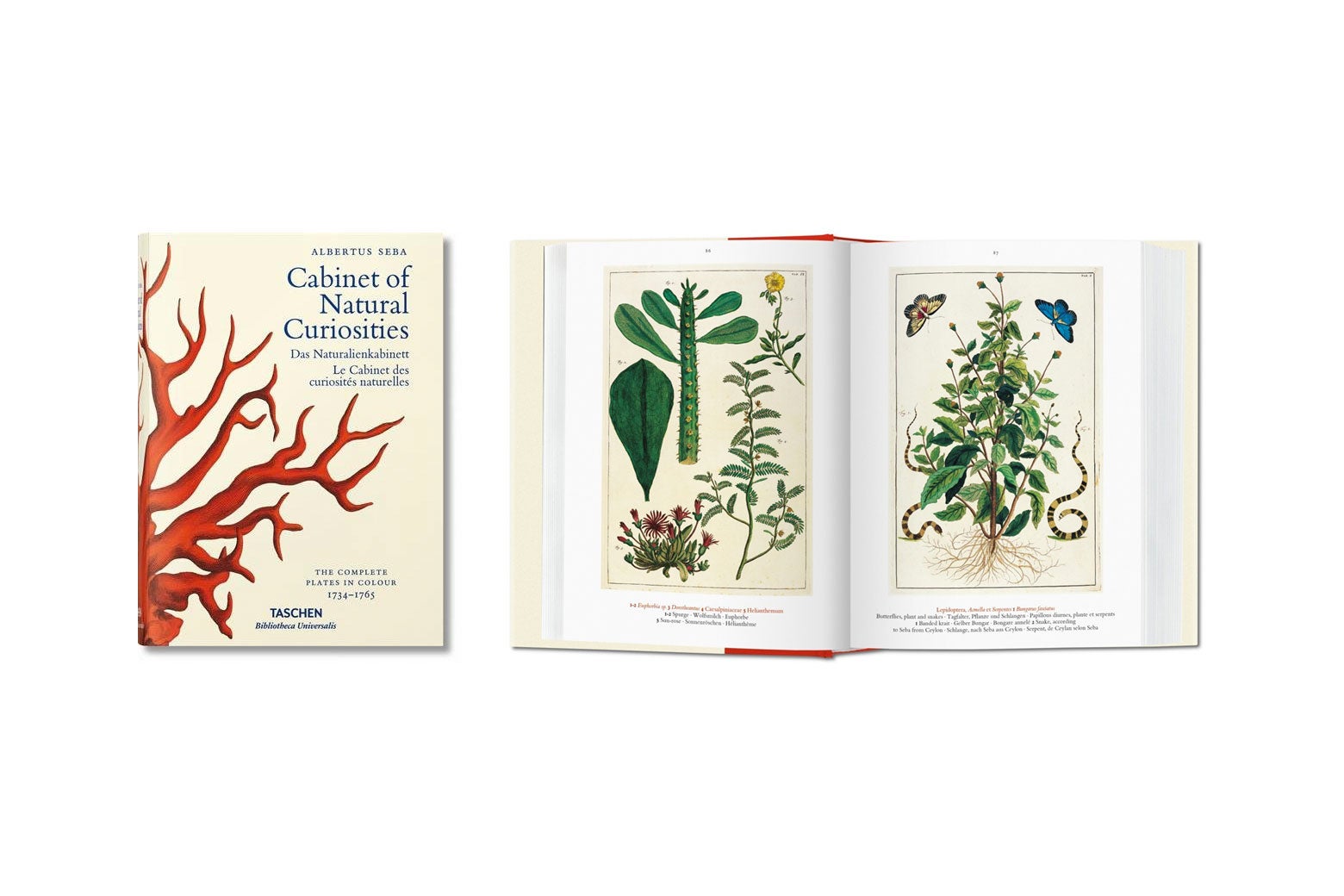 Art books.