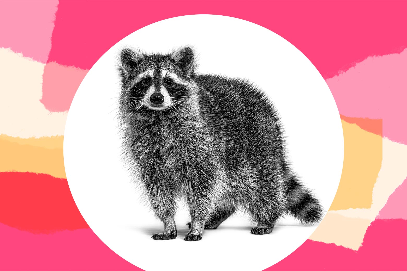 We Have a Regular Nighttime Visitor, and My Husband Is Egging Him On