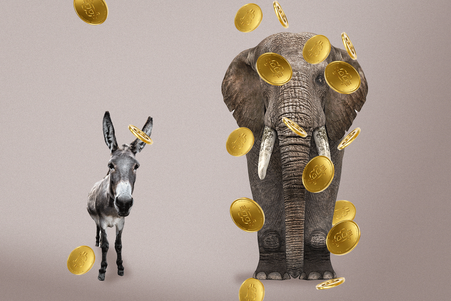 A tiny donkey and a large elephant are showered with golden Bitcoins.
