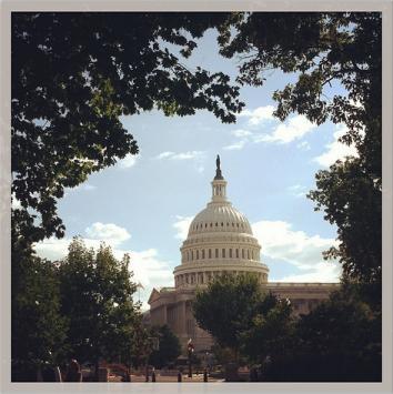 View of the capitol.