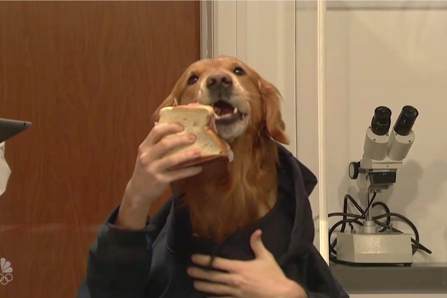 Want to watch a man with the head of a dog eat a sandwich? SNL has you