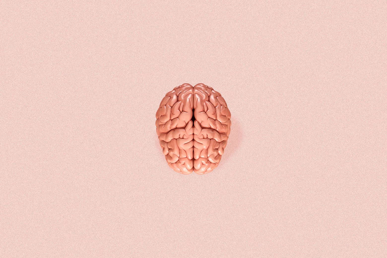 A realistic photo of a brain against a pink background.