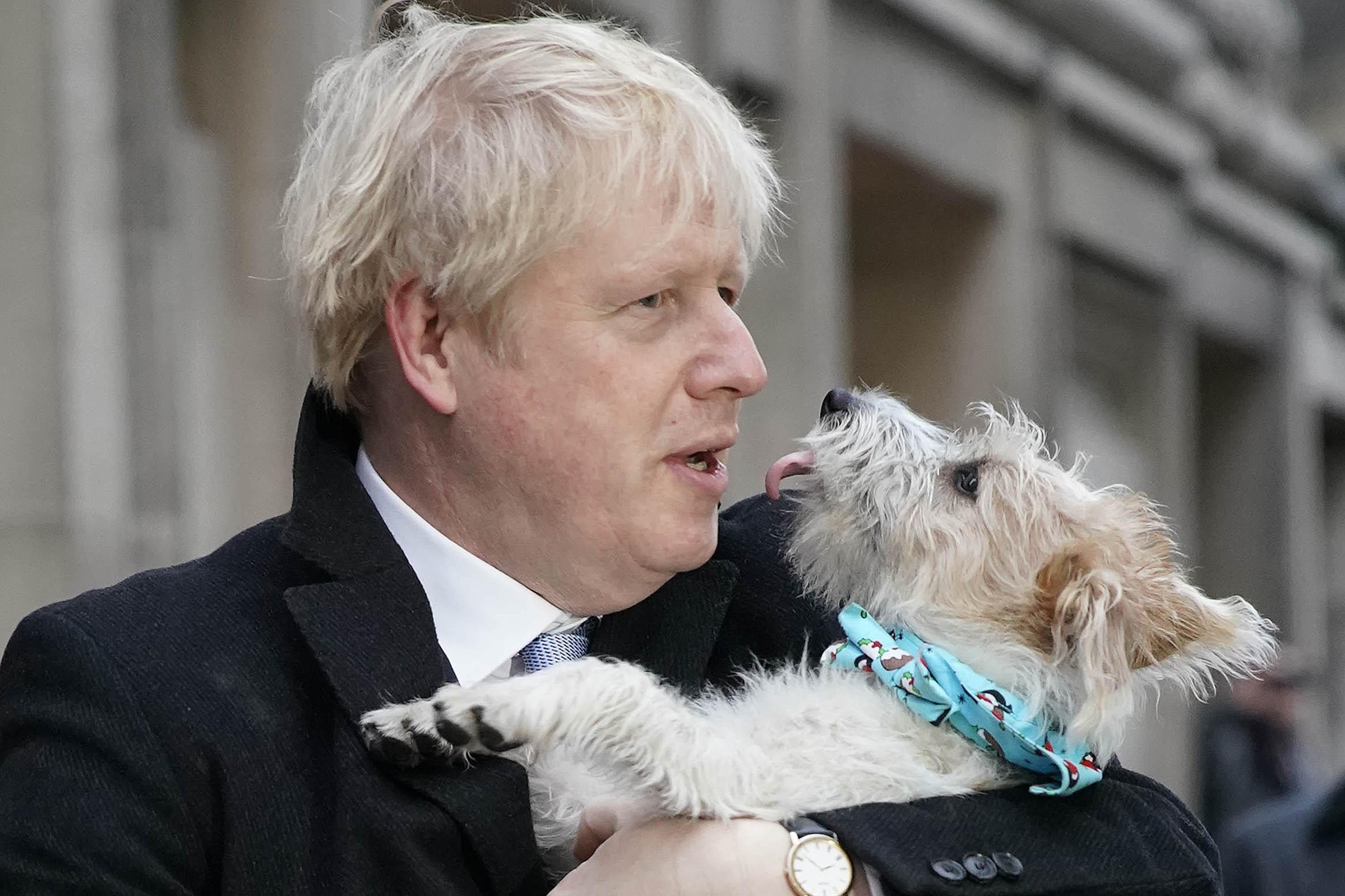 Boris Johnson holds a dog next to his face. The dog's tongue is out, mid-lick.
