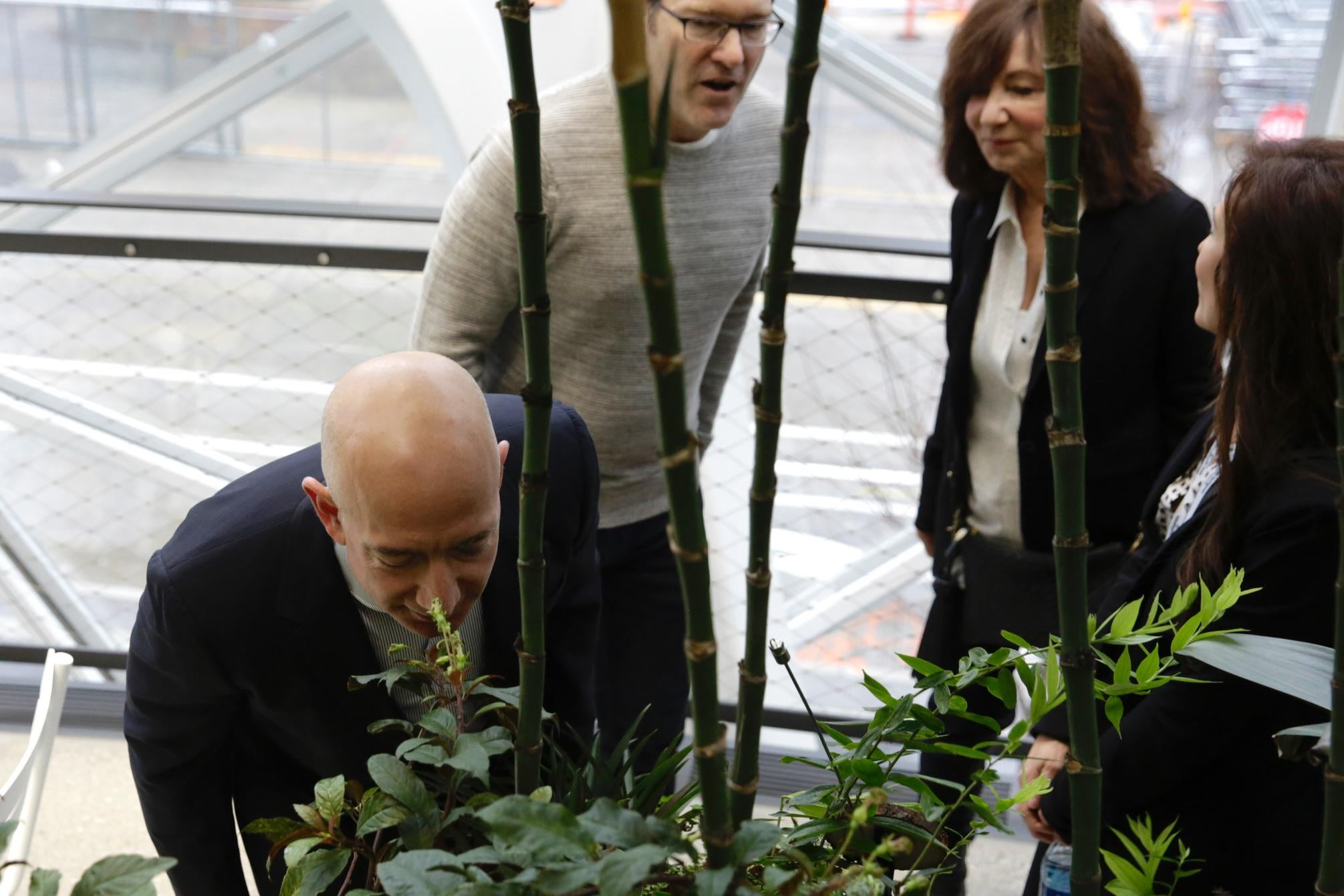 Chief Executive Officer of Amazon, Jeff Bezos, tours the facility at the grand opening of the Amazon Spheres, in Seattle, Washington on January 29, 2018. 
Amazon opened its new Seattle office space which looks more like a rainforest. The company created the Spheres Complex to help spark employee creativity.  / AFP PHOTO / JASON REDMOND        (Photo credit should read JASON REDMOND/AFP/Getty Images)