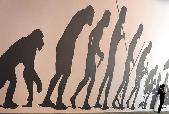 An archival photo of a satire of the famous March of Progress illustration of human evolution.