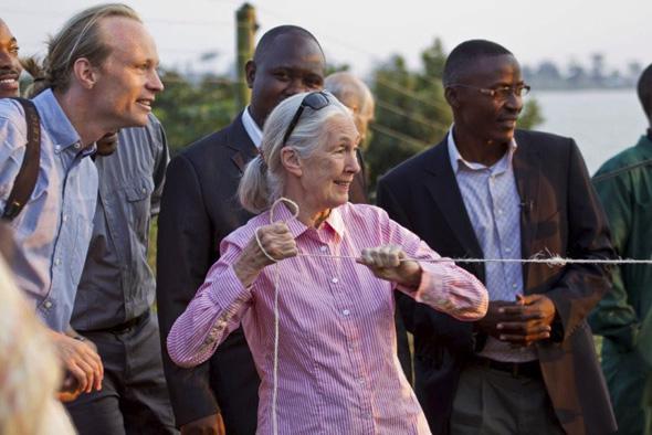 Jane Goodall opens the hatch to an African Grey Parrot aviary at World Parrot Trust.