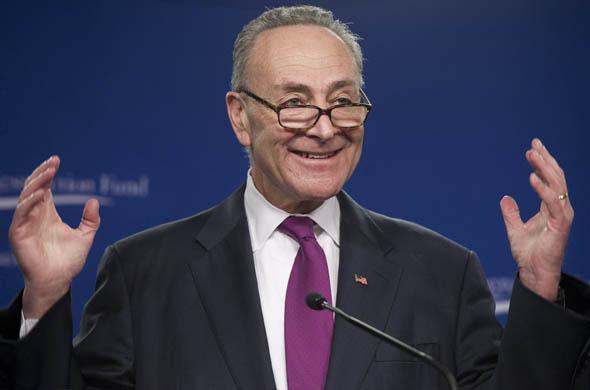 Democratic Senator Chuck Schumer of New York speaks about how to reform the Democratic party agenda to counter the influence of the Tea Party wing of the Republican party.