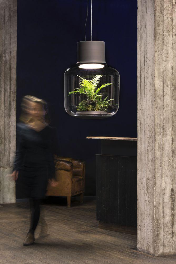 Elastisch Matroos Direct Lamp Mygdal from Nui Studio allows plants to grow without sunlight or water.