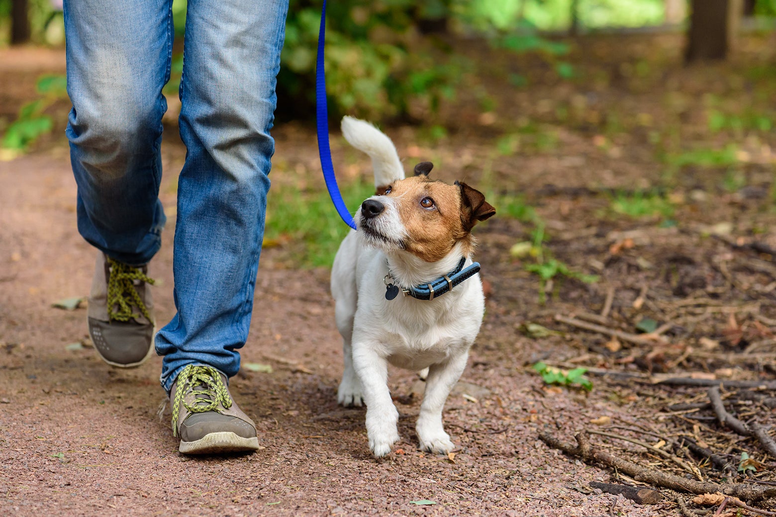 how to clean dog poop off dog bed