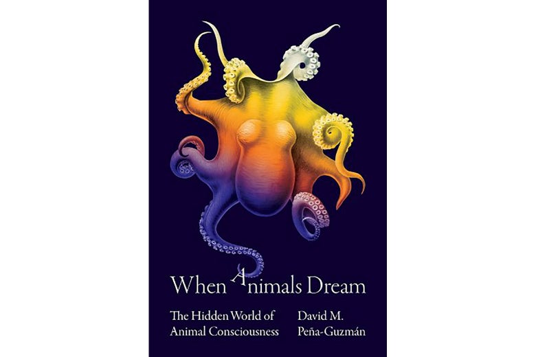 When Animals Dream book cover featuring an octopus changing color and grabbing the capital A in Animals with a tentacle
