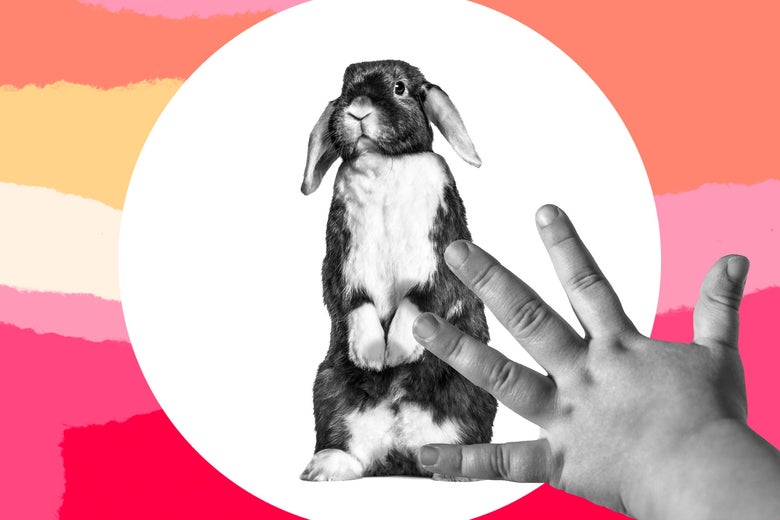 Photo illustration of a toddler petting a bunny.