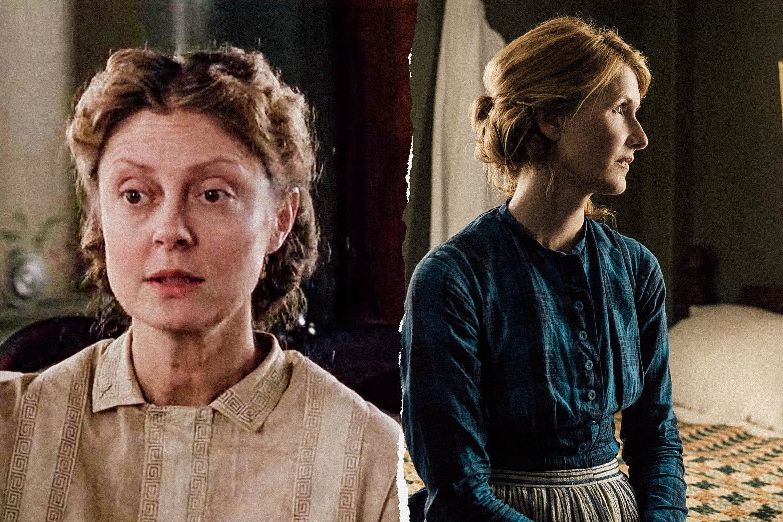 Susan Sarandon and Laura Dern.
