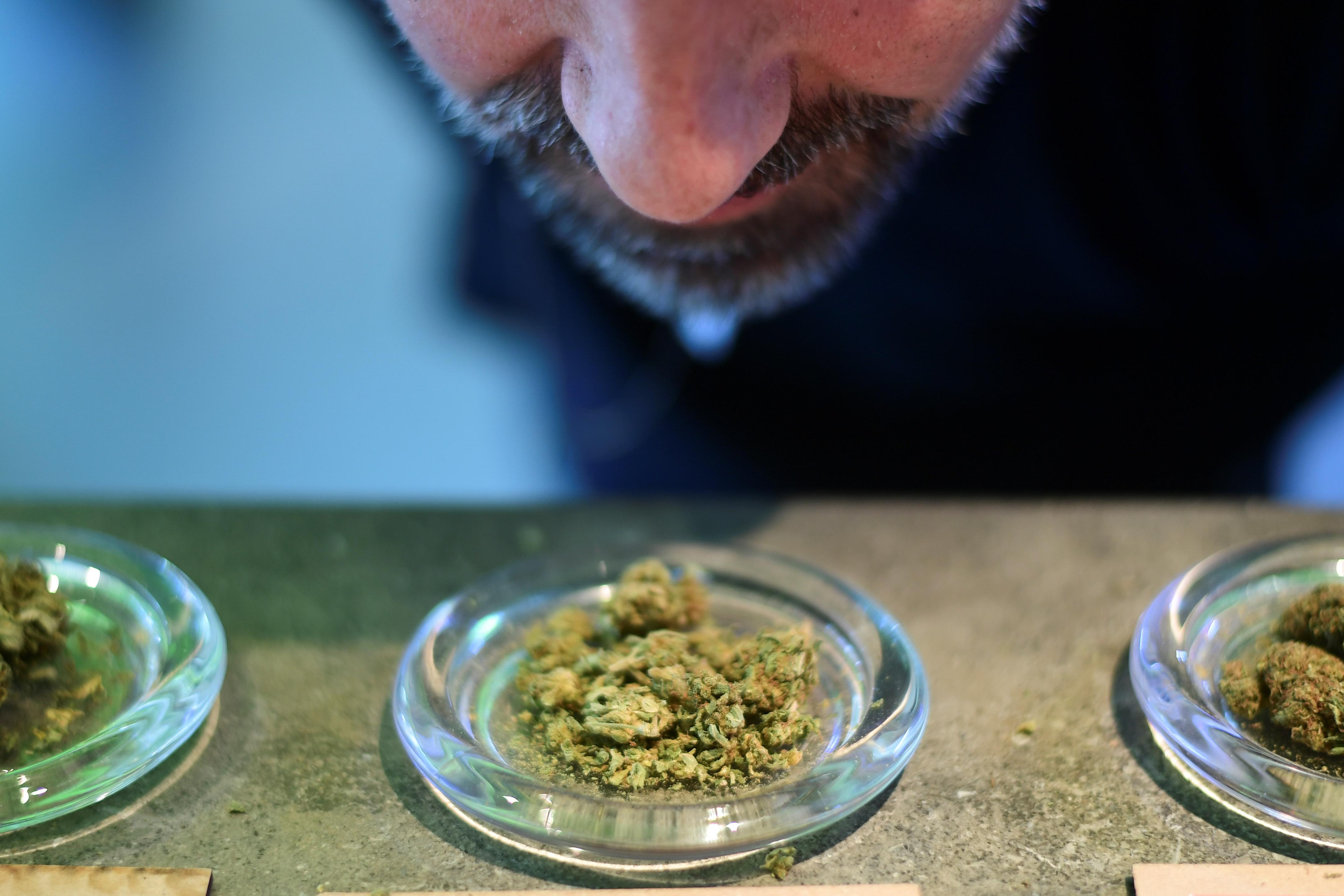 States Keep Repeating the Same Mistake With Marijuana Legalization