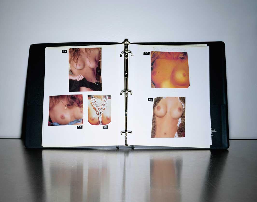 The Breast Book, 2006