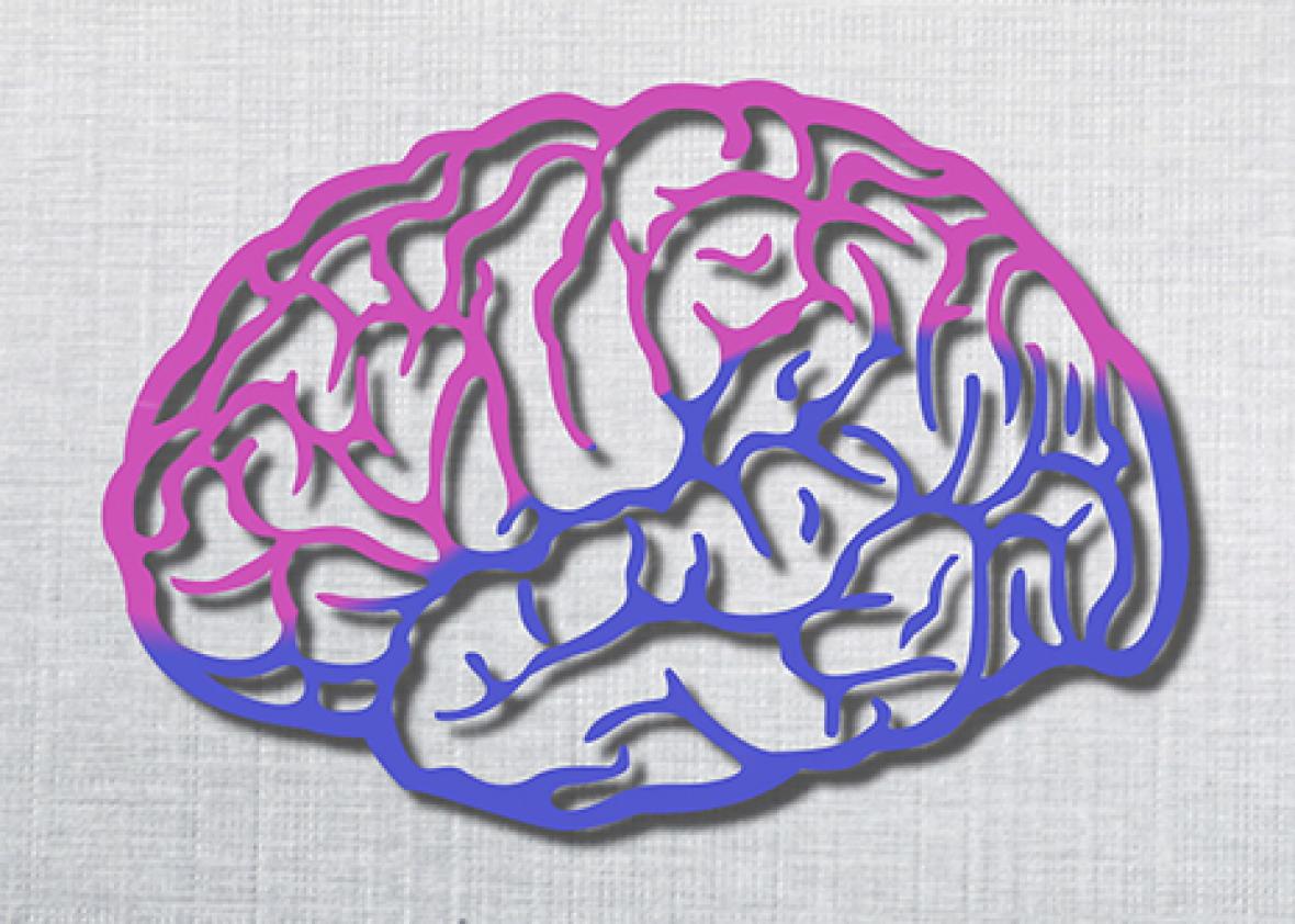 The difference between male and female brains (Video).